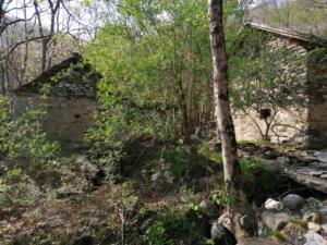 Parco Nazionale Val Grande