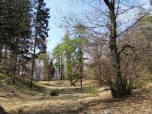 Parco Nazionale Val Grande