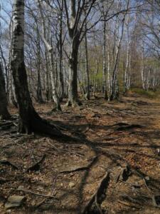 Parco Nazionale Val Grande