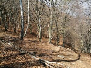 Parco Nazionale Val Grande