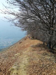 Parco Nazionale Val Grande